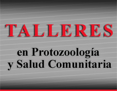 Imagen de la página inicial de la revista